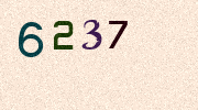 Visual Confirmation Security Code