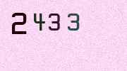 Visual Confirmation Security Code