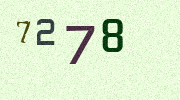 Visual Confirmation Security Code