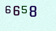 Visual Confirmation Security Code