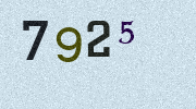 Visual Confirmation Security Code