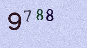 Visual Confirmation Security Code