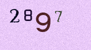 Visual Confirmation Security Code