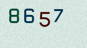 Visual Confirmation Security Code