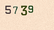 Visual Confirmation Security Code