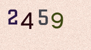 Visual Confirmation Security Code