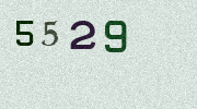 Visual Confirmation Security Code