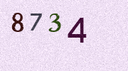 Visual Confirmation Security Code