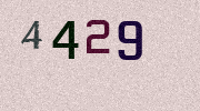 Visual Confirmation Security Code