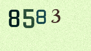 Visual Confirmation Security Code