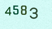 Visual Confirmation Security Code