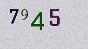 Visual Confirmation Security Code