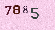 Visual Confirmation Security Code