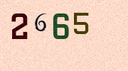 Visual Confirmation Security Code