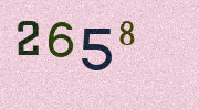 Visual Confirmation Security Code