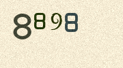 Visual Confirmation Security Code