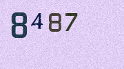 Visual Confirmation Security Code