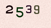 Visual Confirmation Security Code