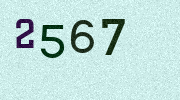Visual Confirmation Security Code
