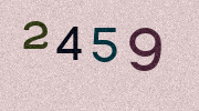 Visual Confirmation Security Code