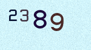 Visual Confirmation Security Code