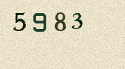 Visual Confirmation Security Code