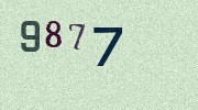 Visual Confirmation Security Code