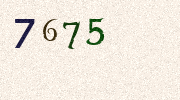 Visual Confirmation Security Code