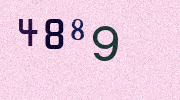 Visual Confirmation Security Code