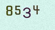 Visual Confirmation Security Code