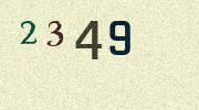 Visual Confirmation Security Code