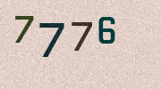 Visual Confirmation Security Code