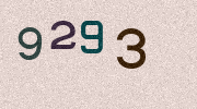 Visual Confirmation Security Code
