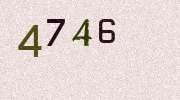 Visual Confirmation Security Code