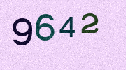Visual Confirmation Security Code