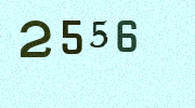 Visual Confirmation Security Code