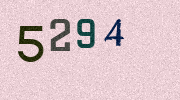 Visual Confirmation Security Code