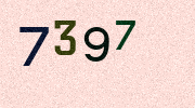 Visual Confirmation Security Code
