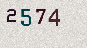 Visual Confirmation Security Code