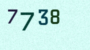 Visual Confirmation Security Code