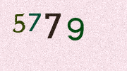 Visual Confirmation Security Code