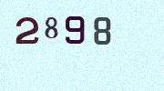 Visual Confirmation Security Code