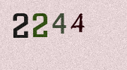 Visual Confirmation Security Code