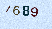 Visual Confirmation Security Code