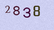 Visual Confirmation Security Code