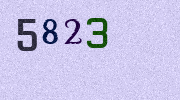 Visual Confirmation Security Code