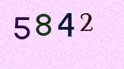 Visual Confirmation Security Code