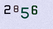 Visual Confirmation Security Code