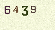 Visual Confirmation Security Code