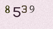 Visual Confirmation Security Code